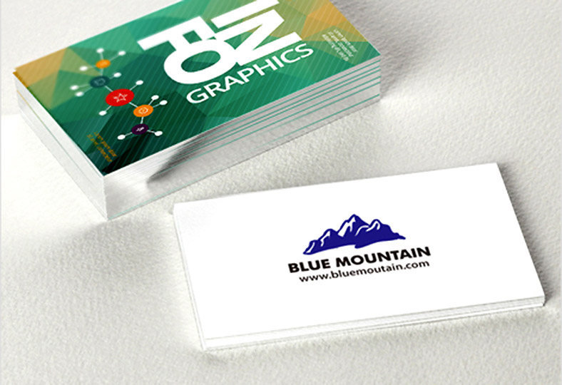 Silver Edge Business Cards_1